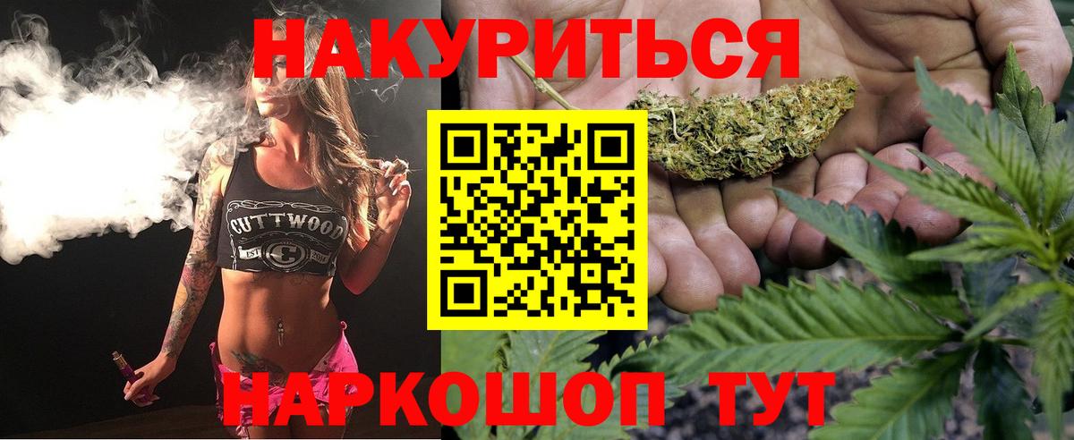 Каннабис сатива  Канабис Bruce Banner  Вход с VPN  Шишки марихуана планчик  Канабис ГИДРОПОН  Ишим 